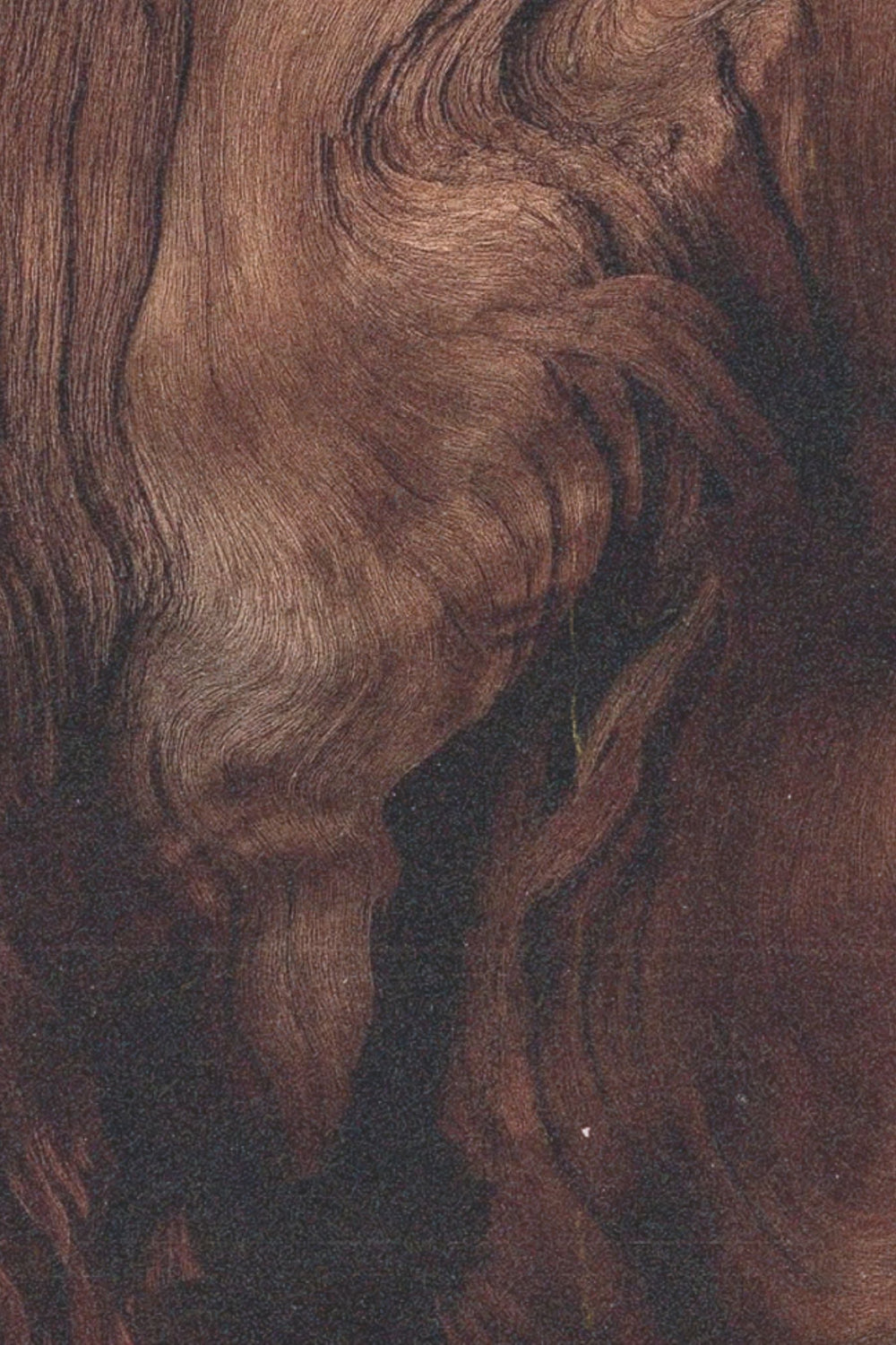 Shop By Colour: Brown